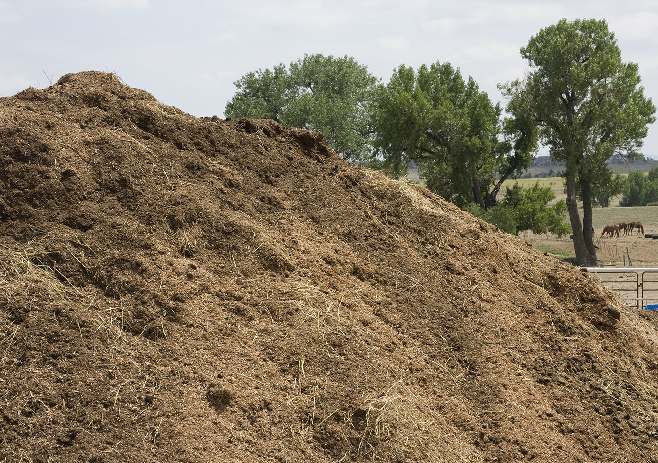Organic Compost Pile